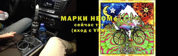 apvp Алзамай