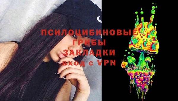 дживик Абаза