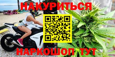 стафф Ставрополь
