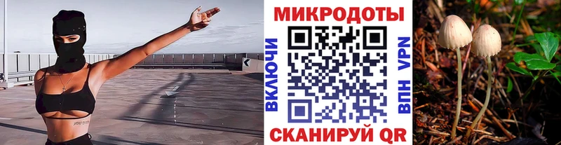 Галлюциногенные грибы GOLDEN TEACHER  Октябрьский 