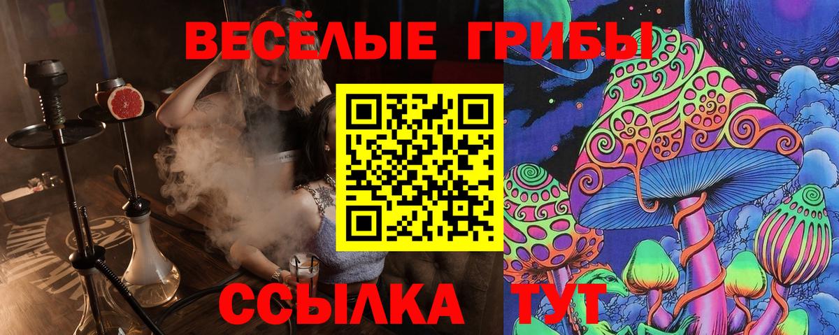 Псилоцибиновые грибы Psilocybe  Вход с VPN  Октябрьский 
