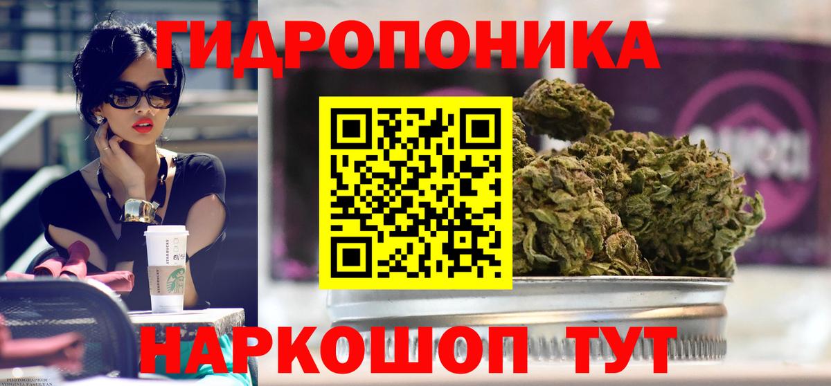 Каннабис ГИДРОПОН Октябрьский